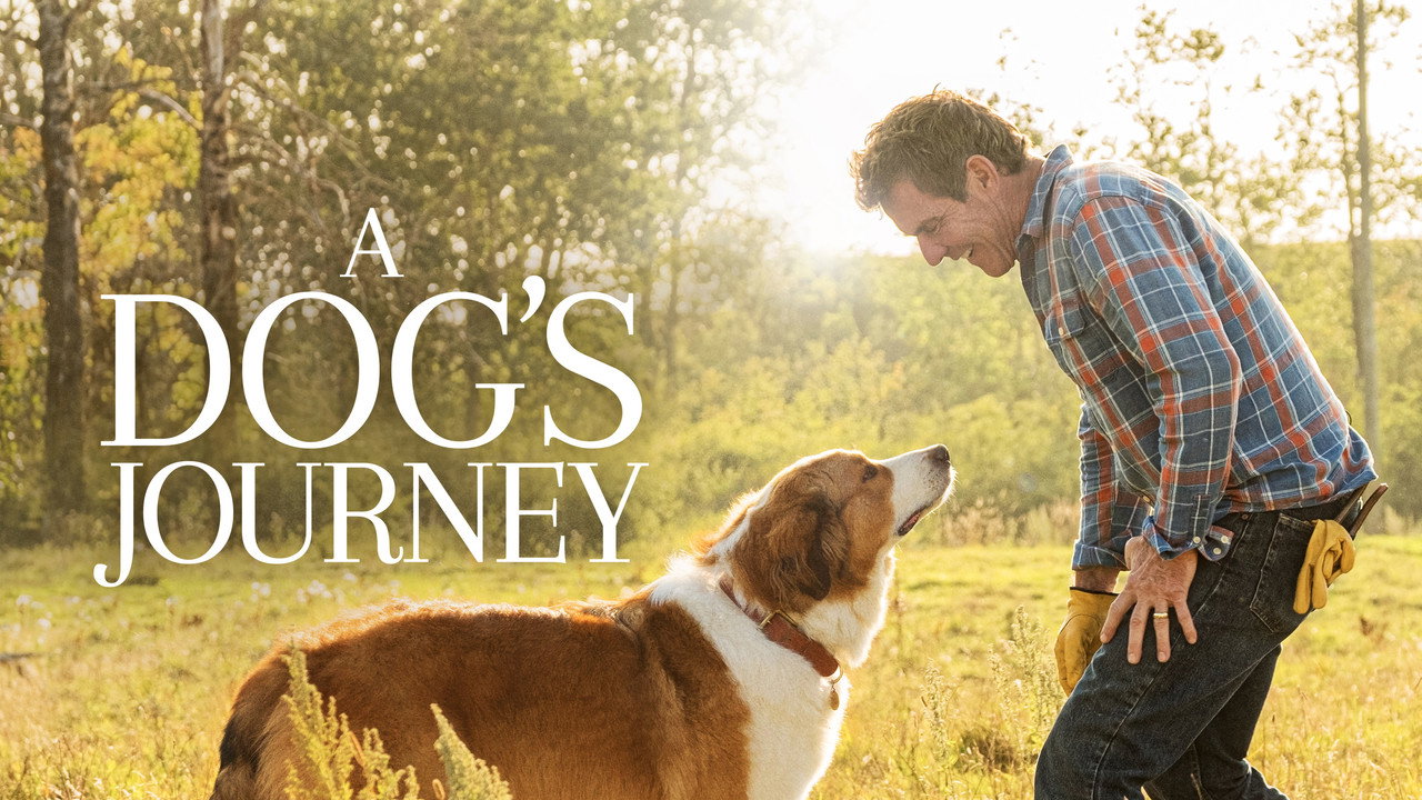 A Dog's Journey still 4