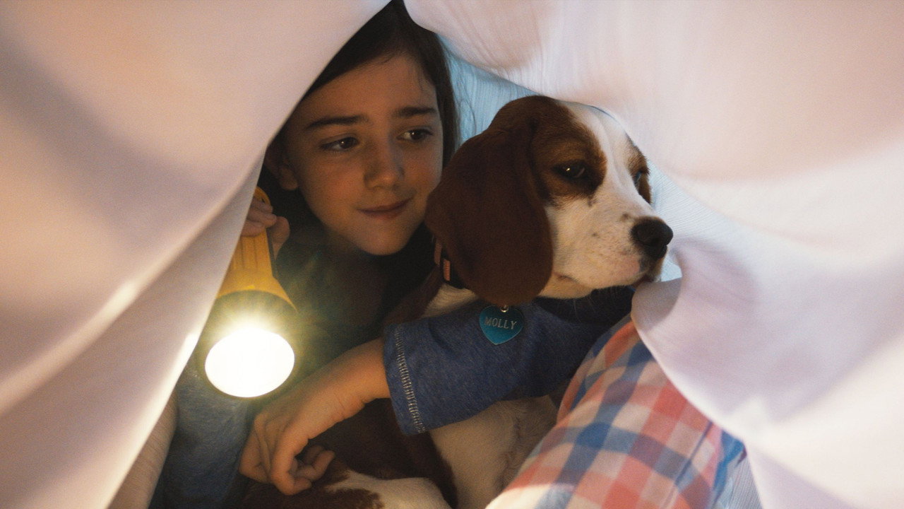 A Dog's Journey still 5