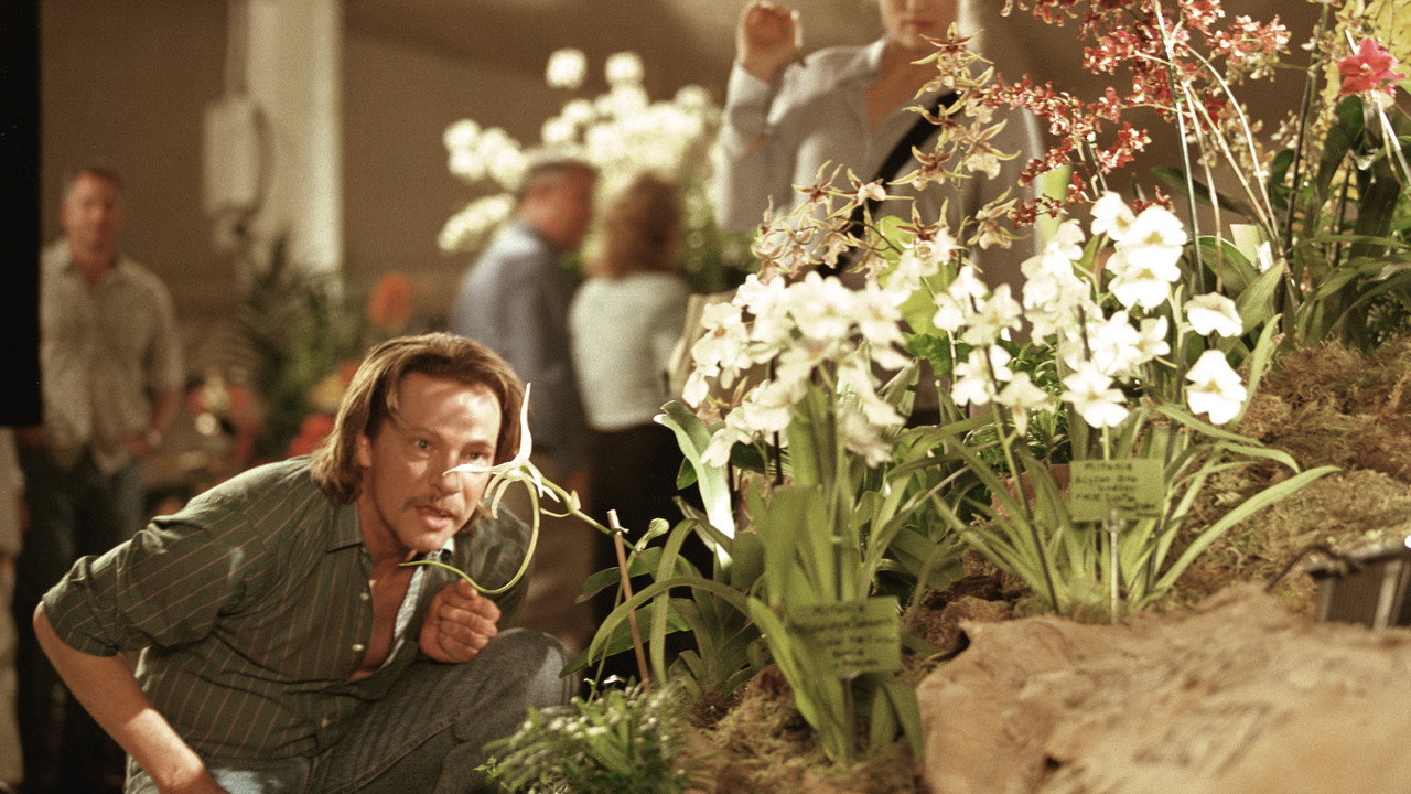Adaptation still 5