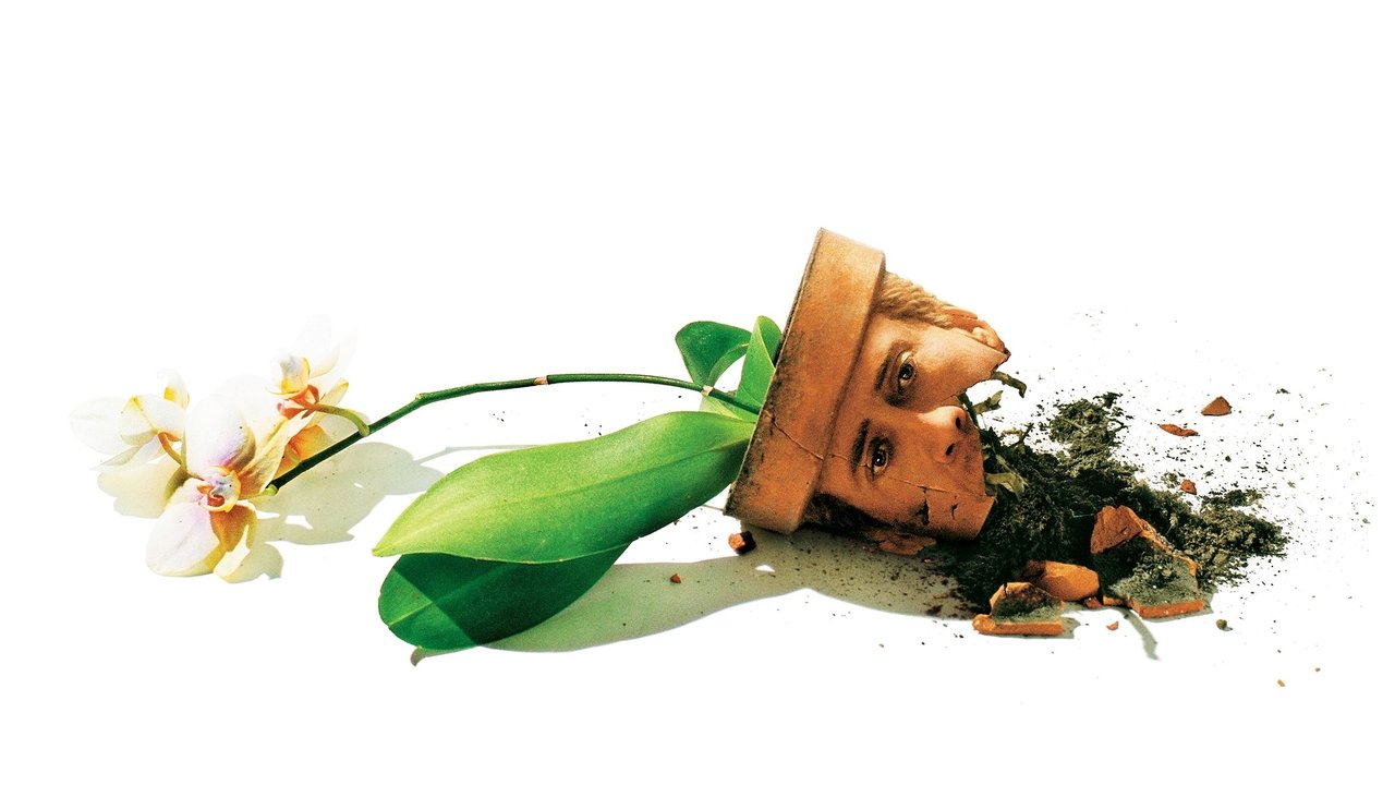 Adaptation still