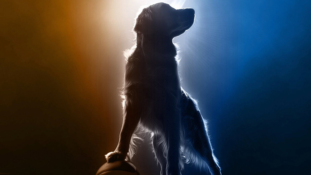 Air Bud Returns still
