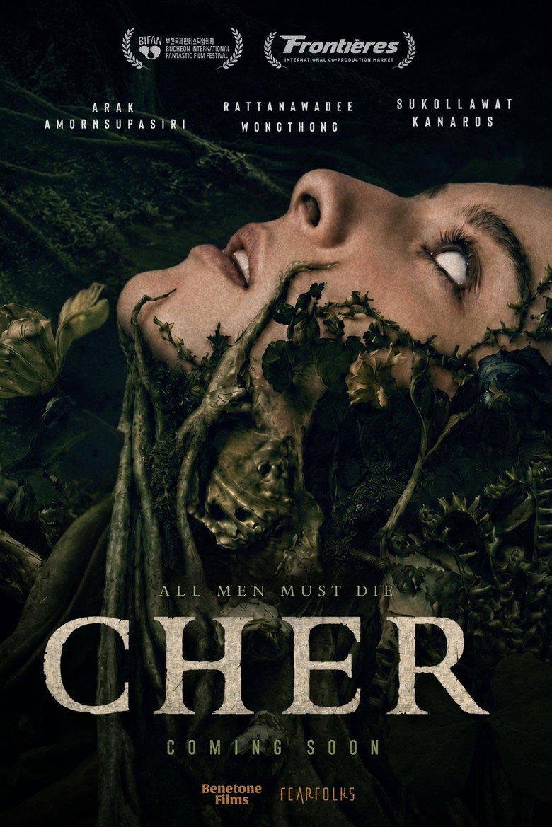 Cher poster