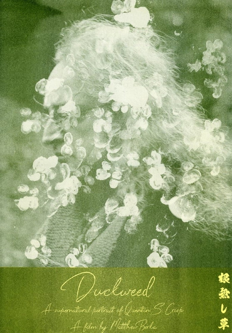 Duckweed movie poster