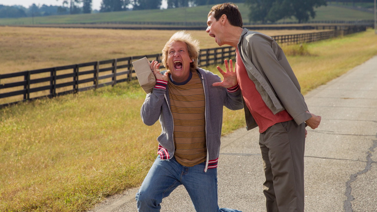 Dumb and Dumber To still 3