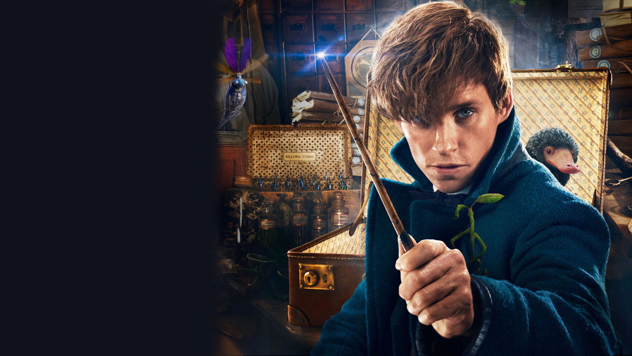 Fantastic Beasts and Where to Find Them still 3