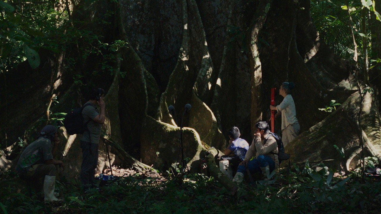 Far From the Trees upcoming movie still 1