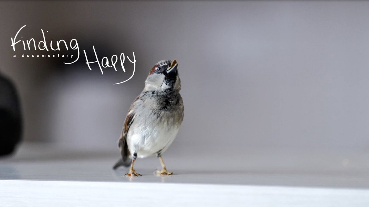 Finding Happy still 1