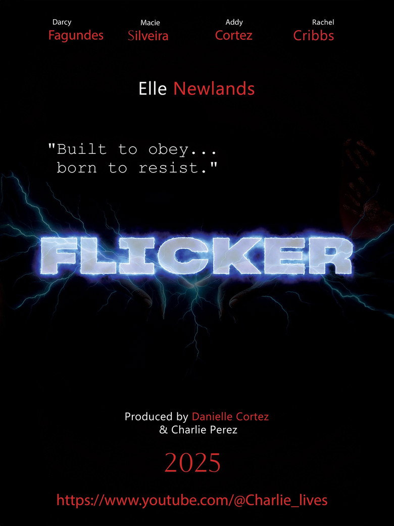 Flicker movie poster