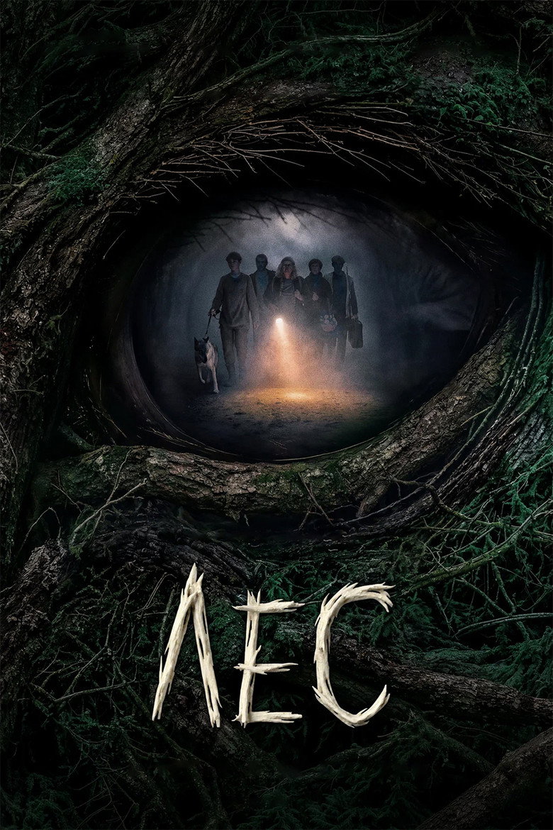 Forest poster