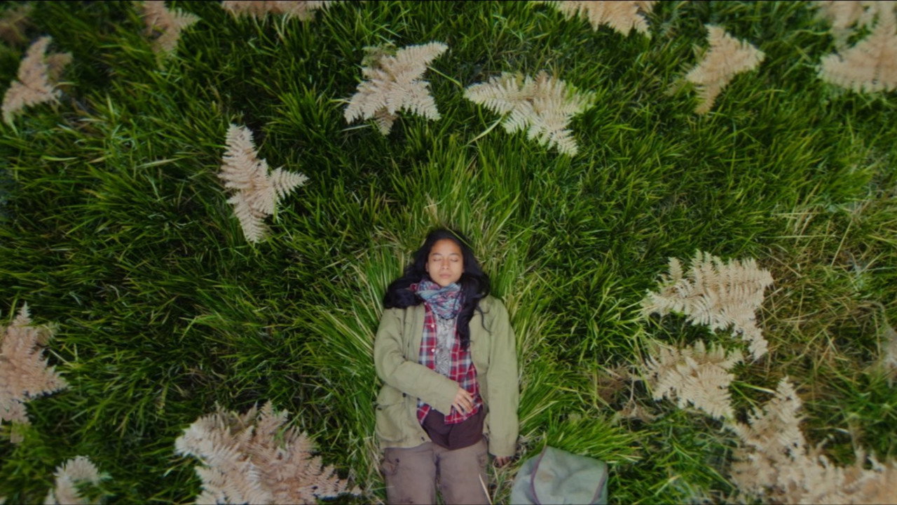 Four Seasons in Java still