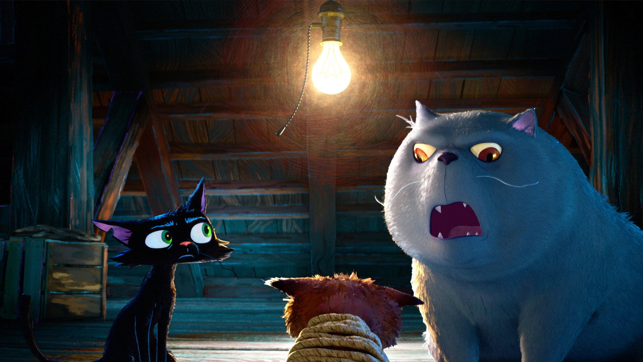 Gatto upcoming movie still 4