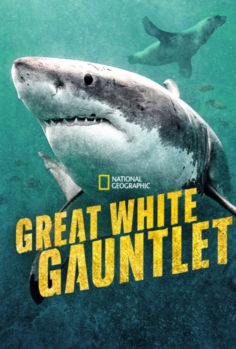 Great White Gauntlet movie poster
