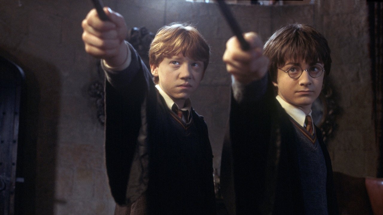 Harry Potter and the Chamber of Secrets still