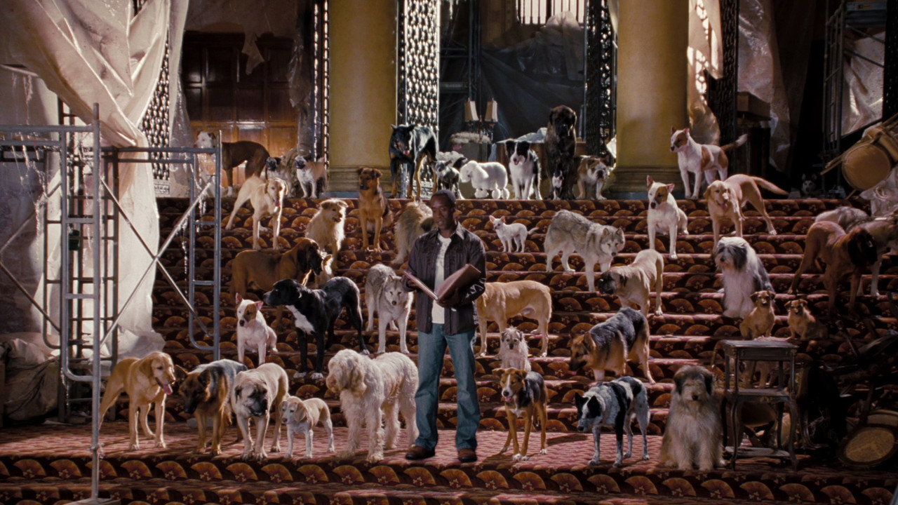 Hotel for Dogs still 3