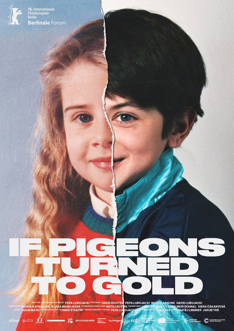 If Pigeons Turned to Gold movie poster