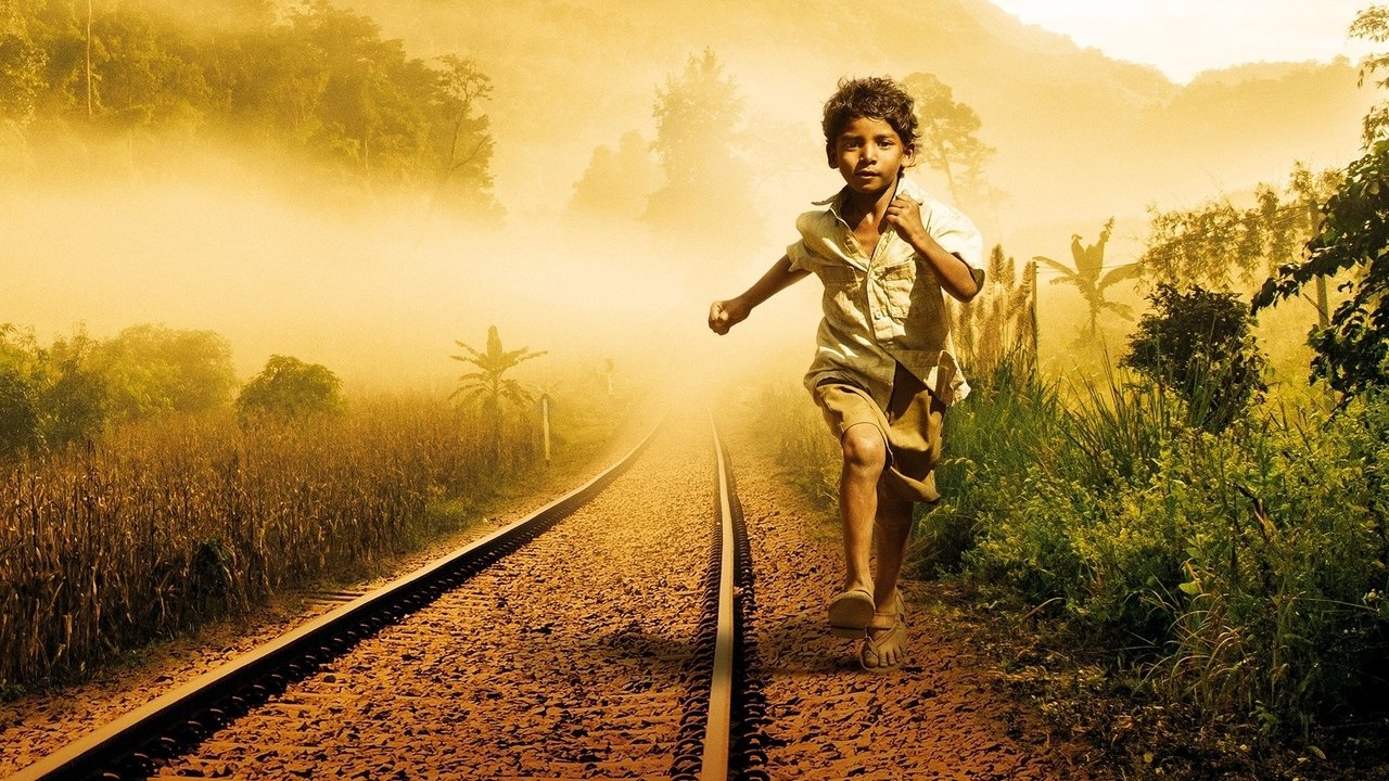 Lion still 3