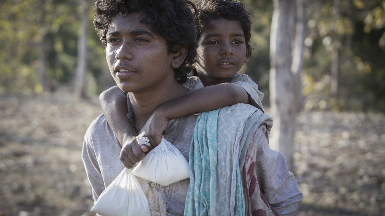 Lion still 4