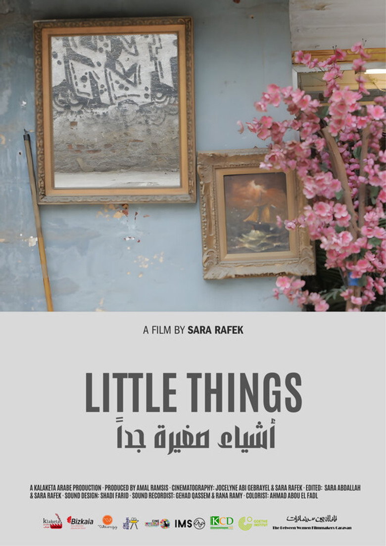 Little Things movie poster