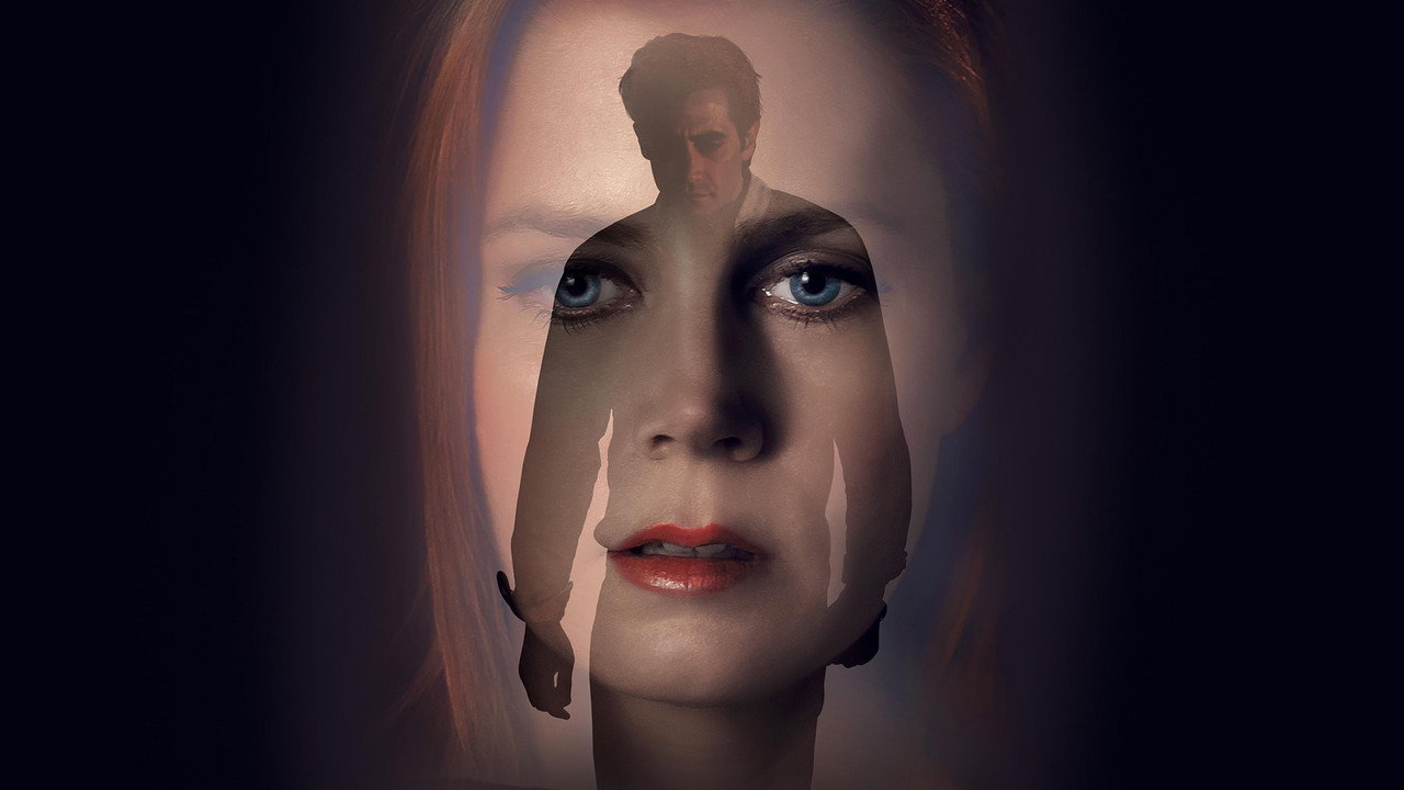Nocturnal Animals still 1
