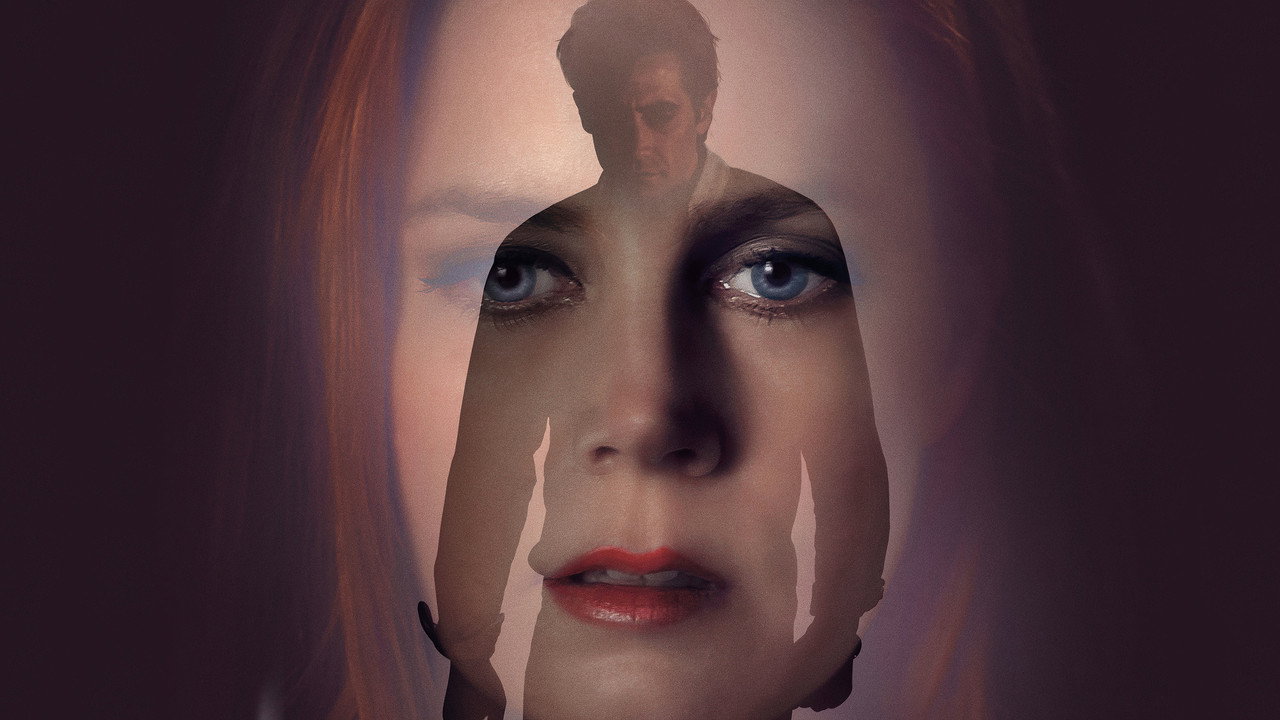 Nocturnal Animals still 2