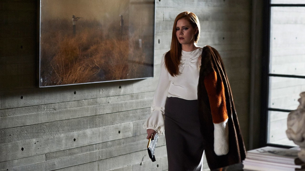 Nocturnal Animals still 5