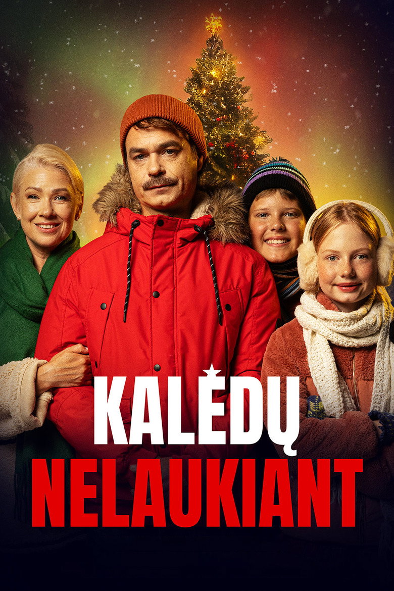 Not Waiting for Christmas movie poster