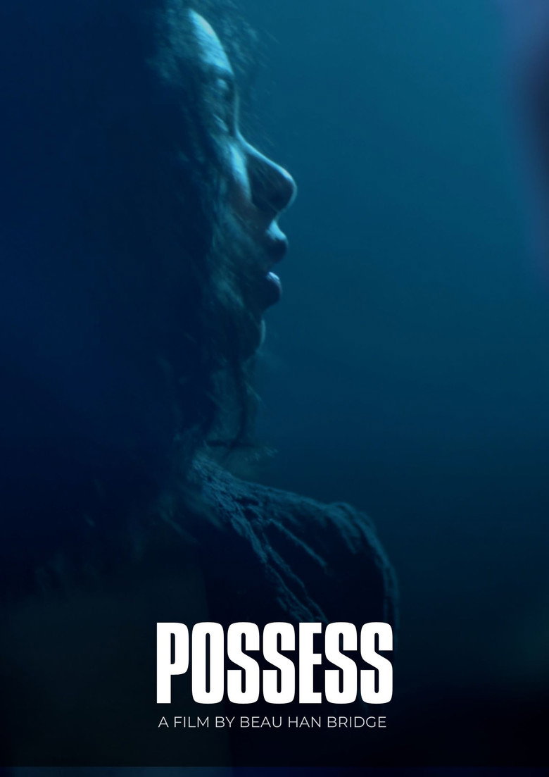 Possess poster