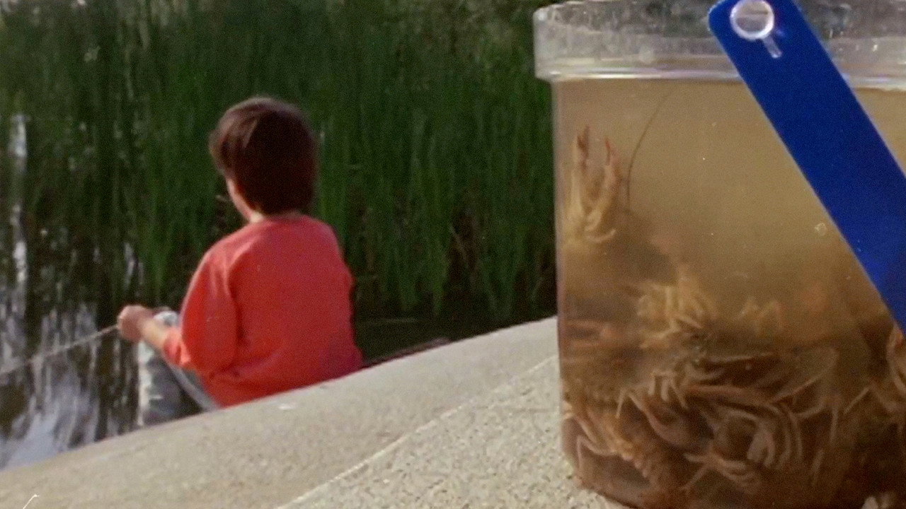 Remake still
