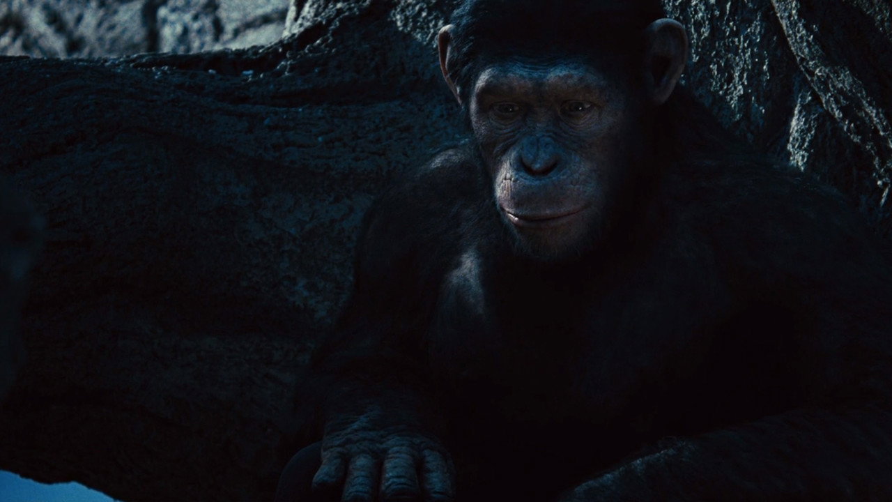 Rise of the Planet of the Apes still 4
