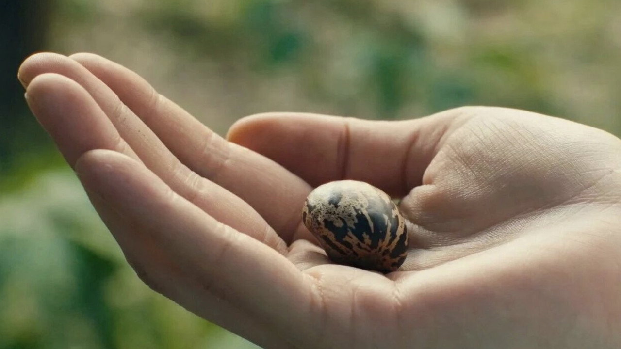 Shanghai Daughter still 3