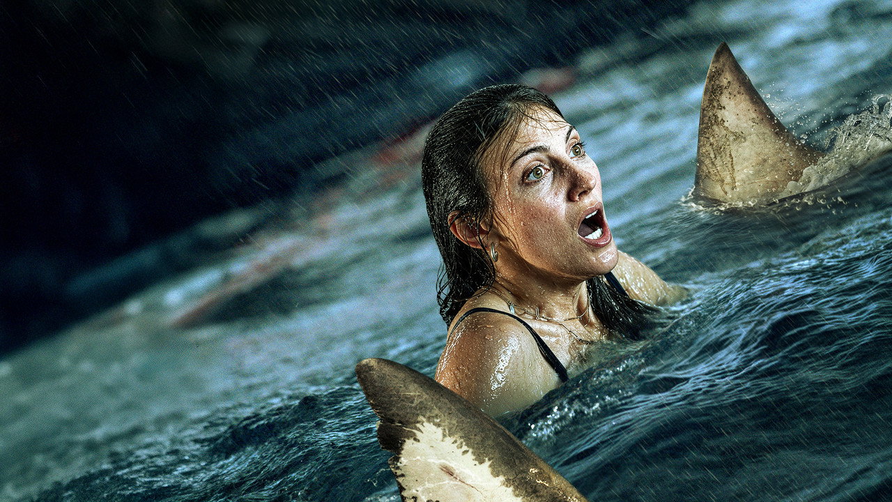 Shark Thrash still