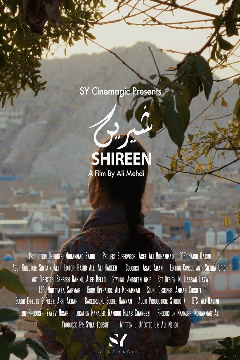 Shireen movie poster used as film imagery for the Salman guide