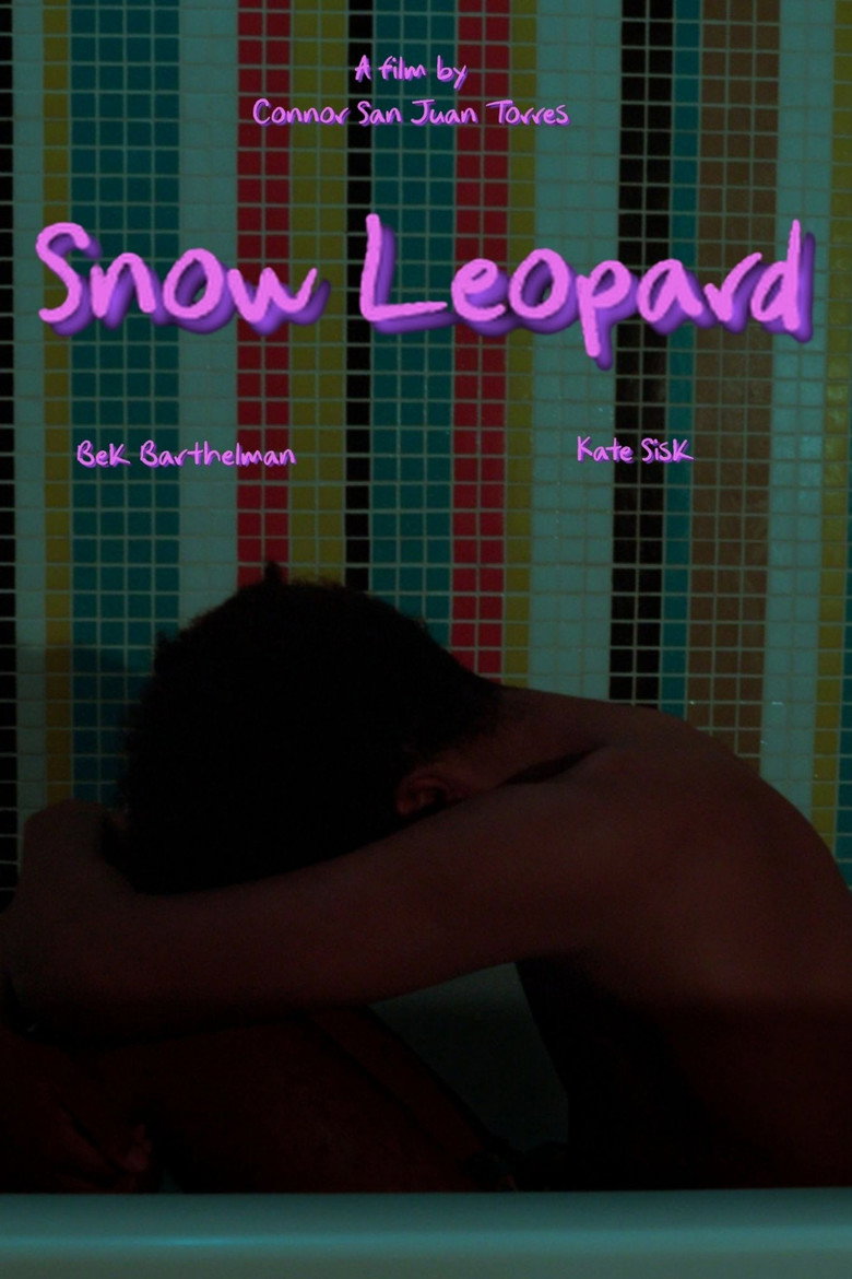 Snow Leopard movie poster used as film imagery for the Ace guide