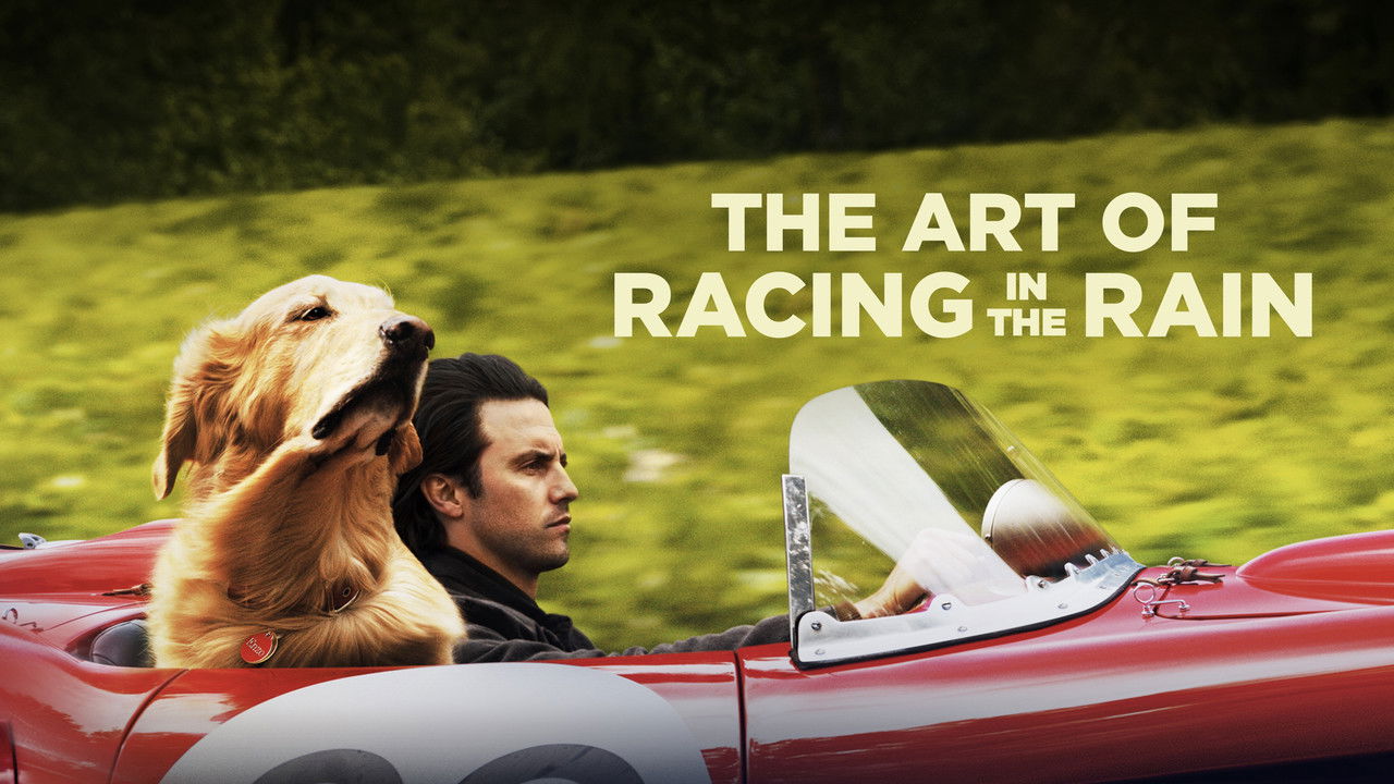 The Art of Racing in the Rain still 1