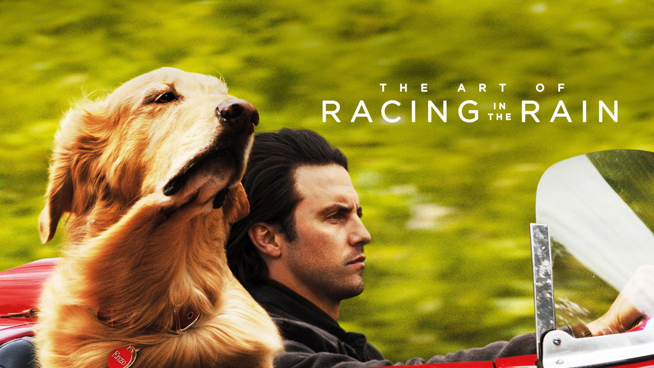 The Art of Racing in the Rain still 3