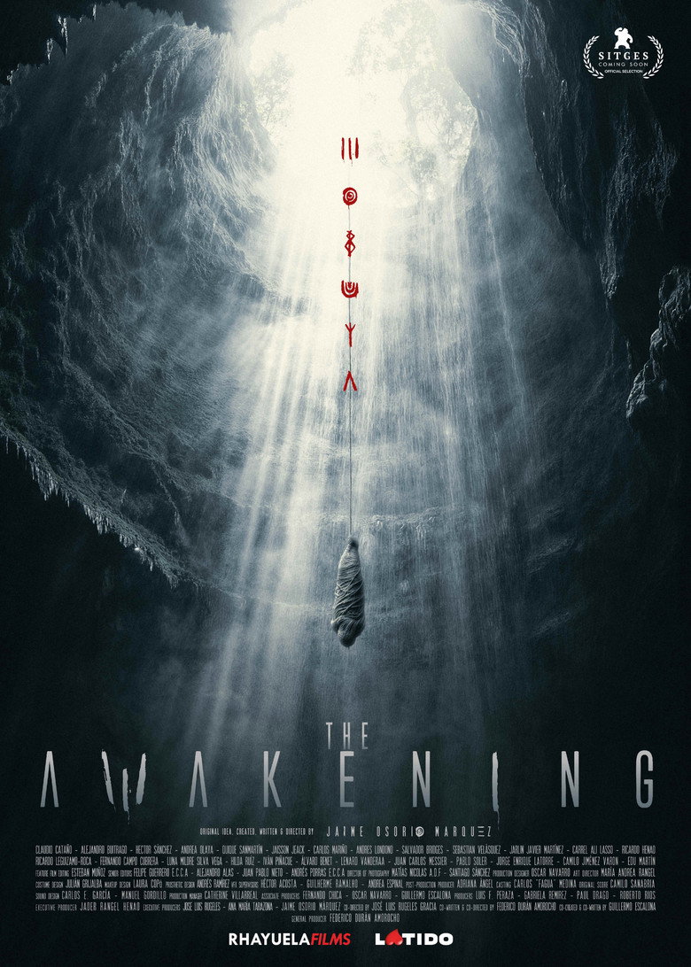 The Awakening movie poster