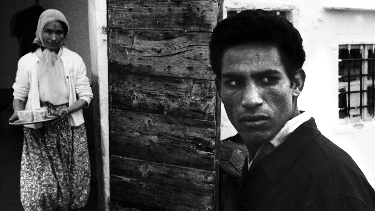 The Battle of Algiers still