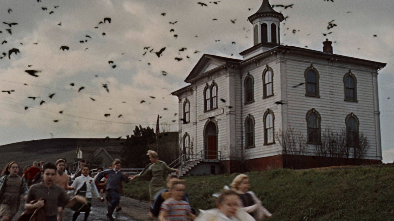 The Birds still 1