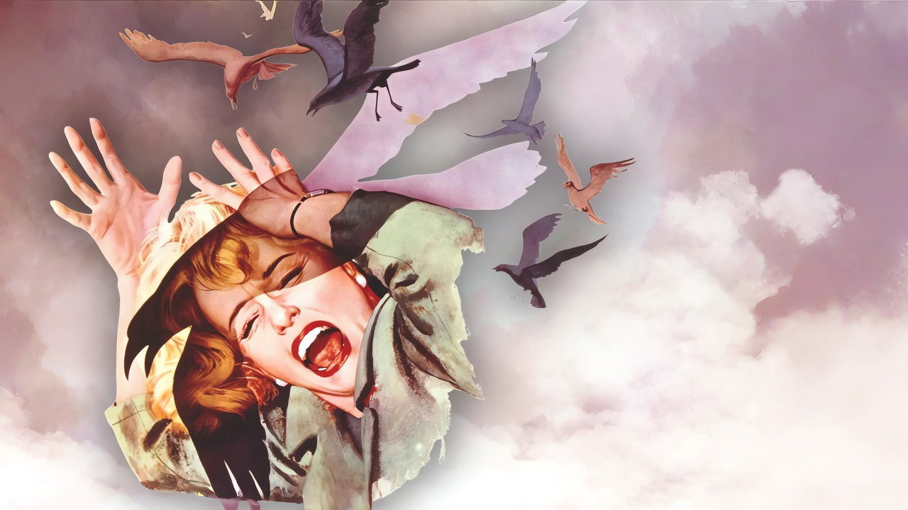 The Birds still 2