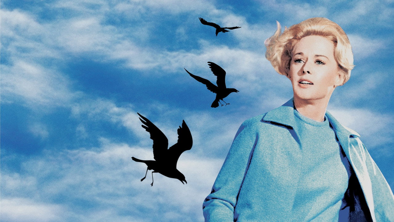 The Birds still 3