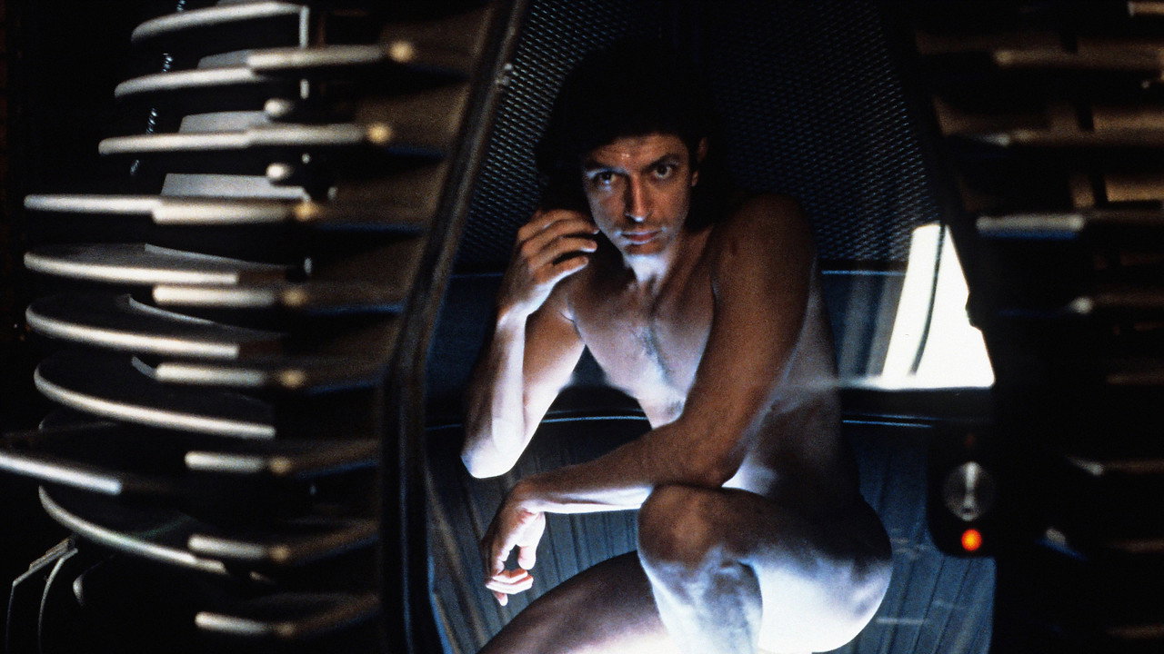 The Fly still 4