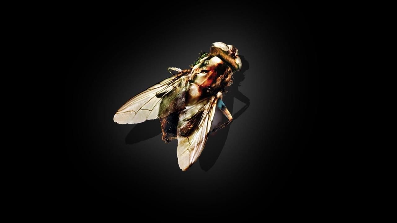 The Fly still 5