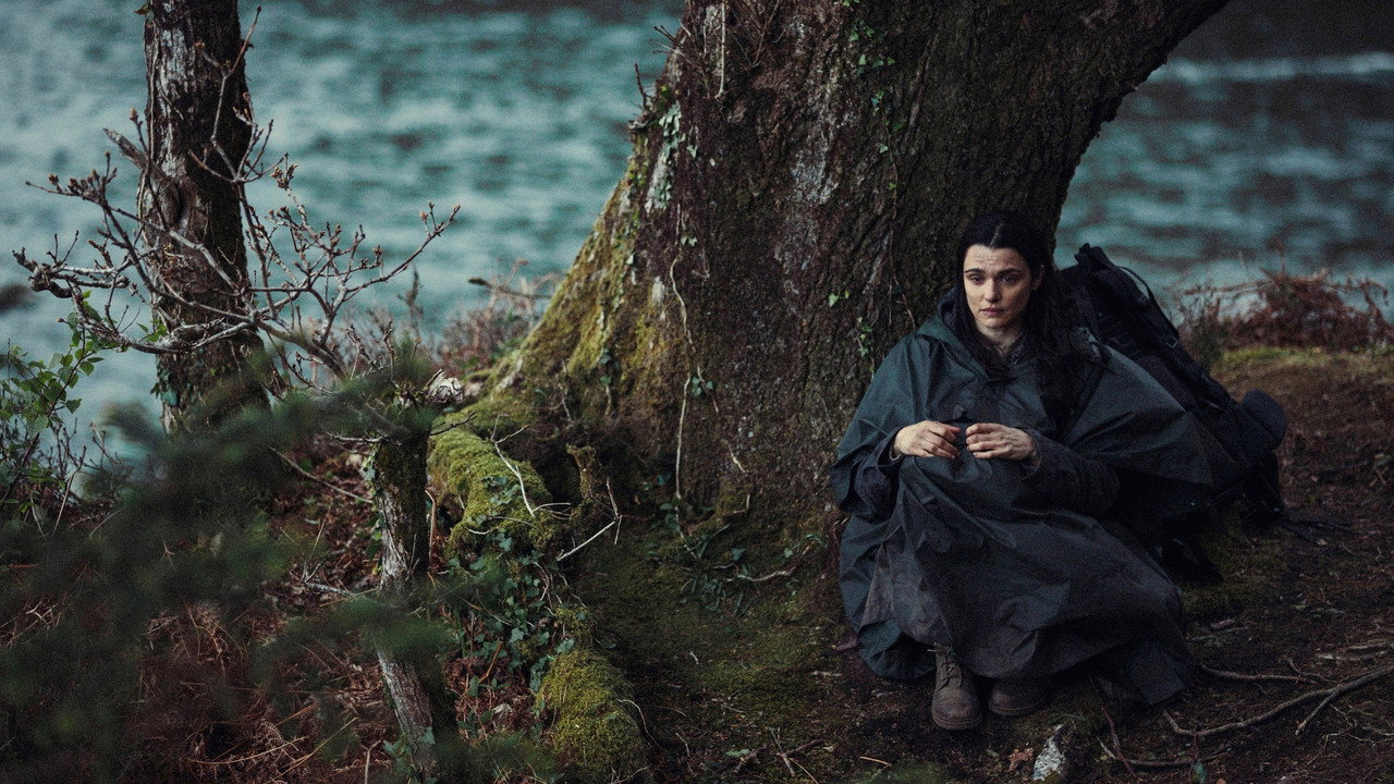 The Lobster still 4
