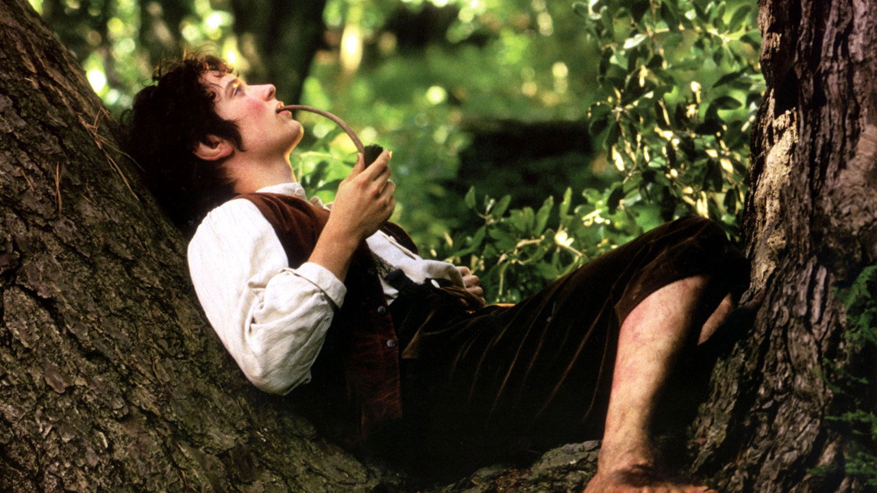 The Lord of the Rings: The Fellowship of the Ring still 3