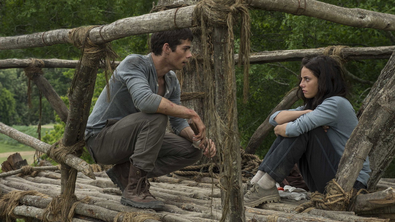 The Maze Runner still 3