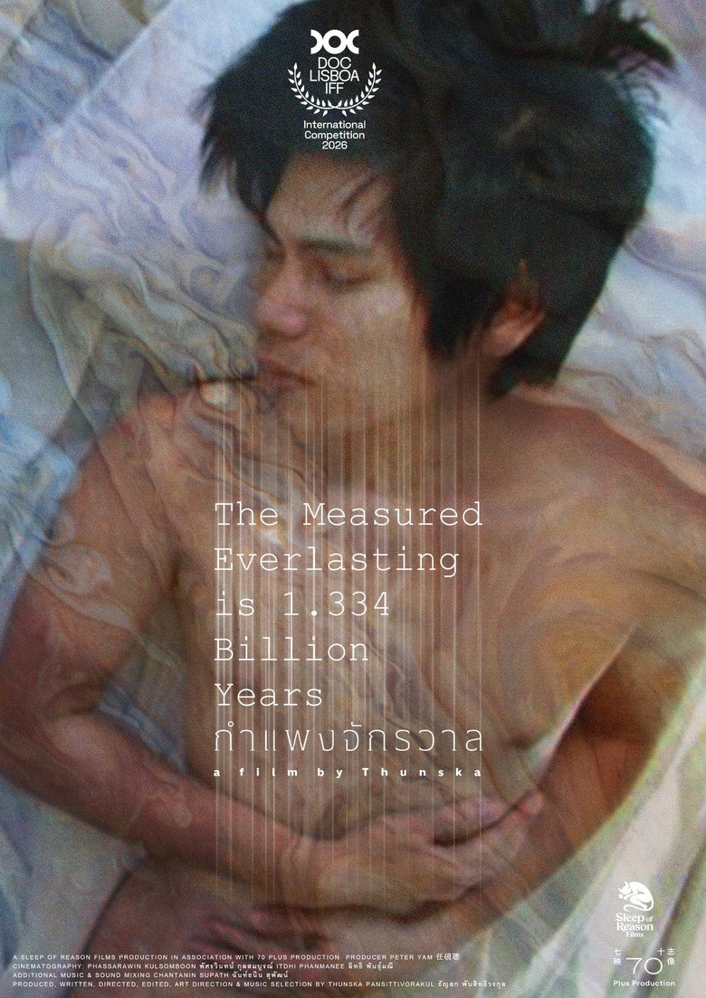THE MEASURED EVERLASTING IS 1.334 BILLION YEARS movie poster