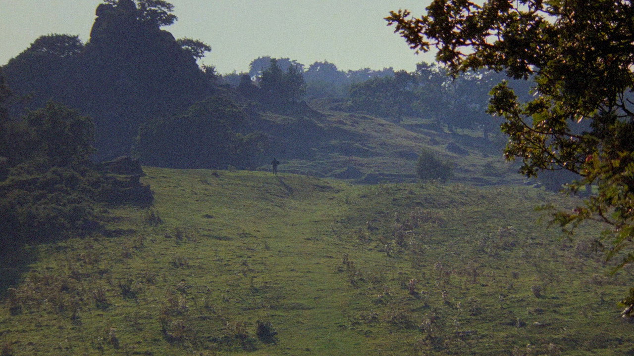The Princess Bride still 3