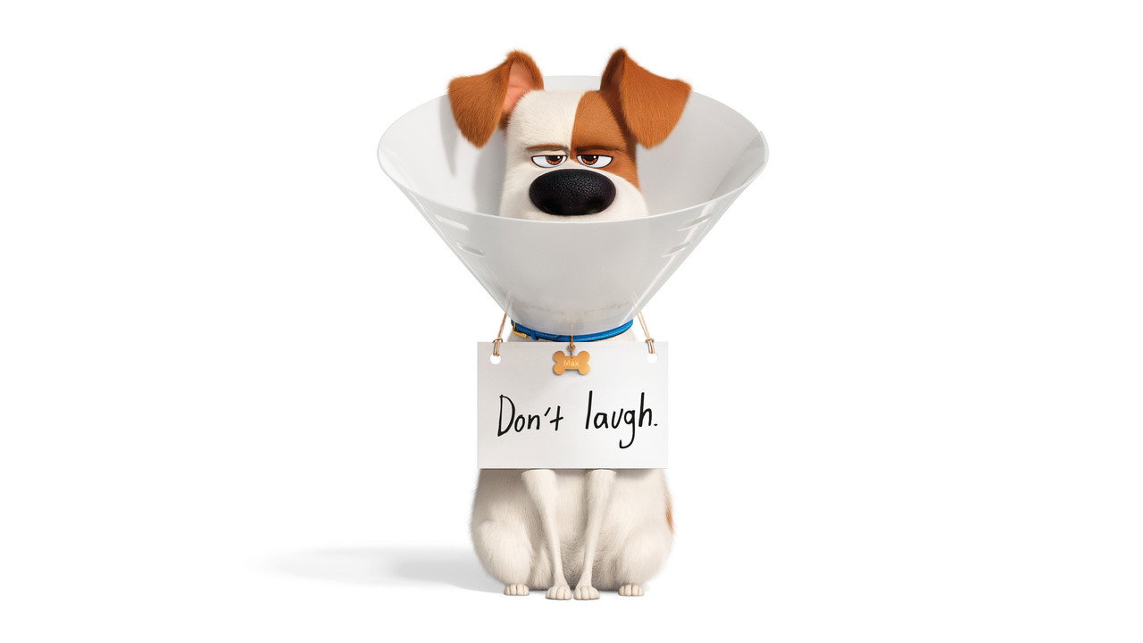 The Secret Life of Pets 2 still 4