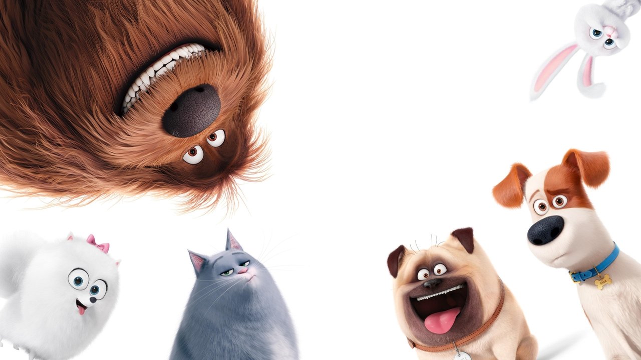 The Secret Life of Pets still 1