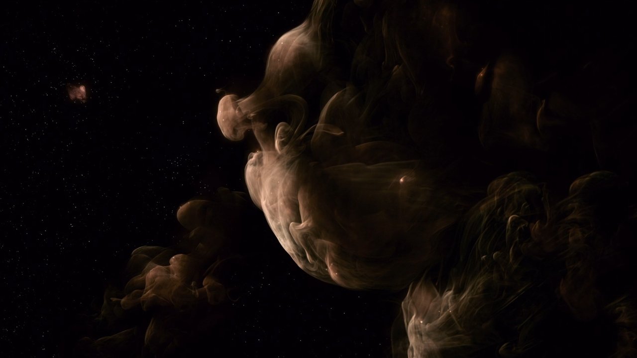 The Tree of Life still 2